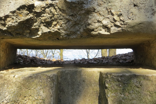 Escursione Sabato 23 Maggio: 
Trincee Bosco Fagarè